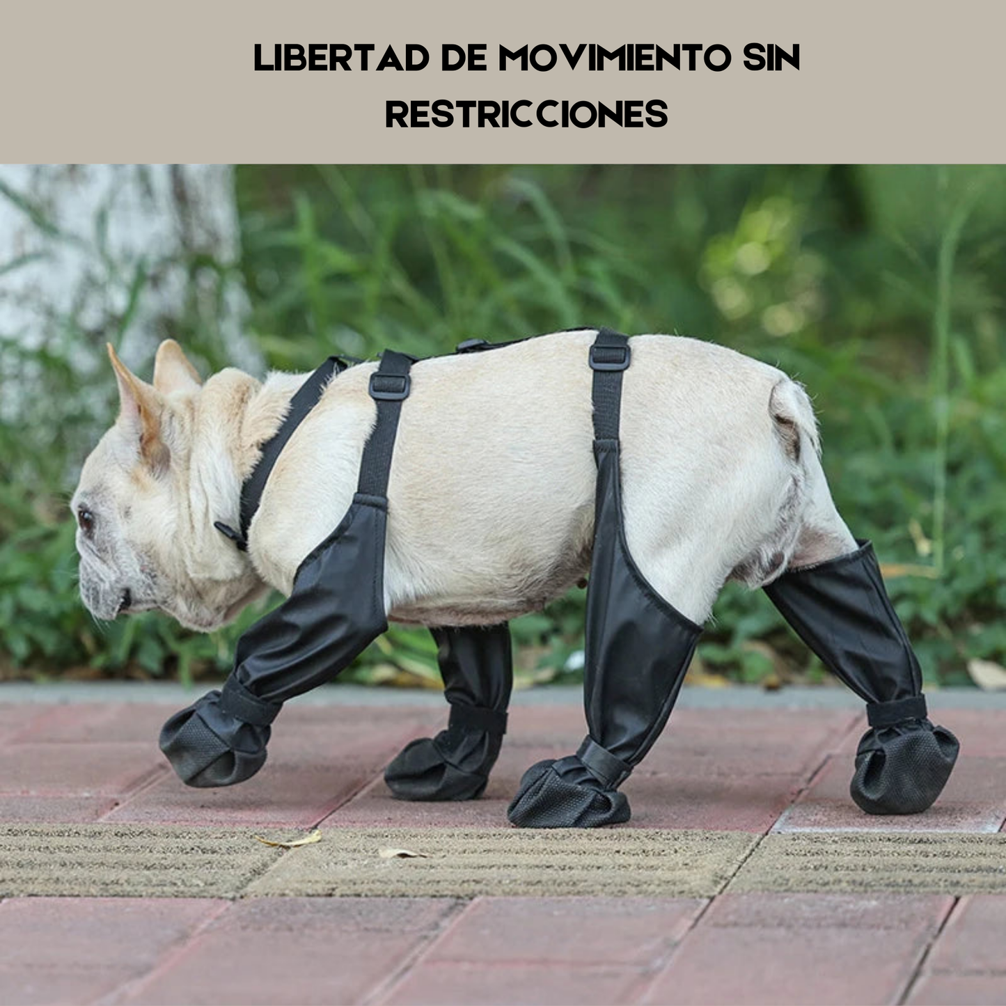 Botas Waterprof ajustables para perros