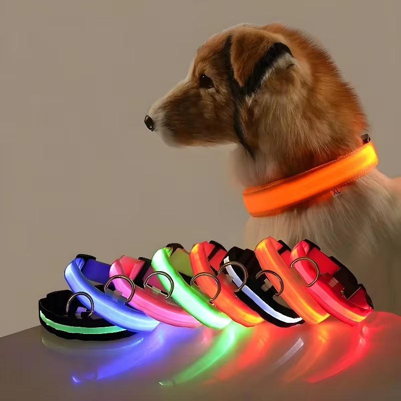 Collar LED para Perros - Nylon Luminiscente con Resplandor en la Oscuridad para Mayor Seguridad Nocturna