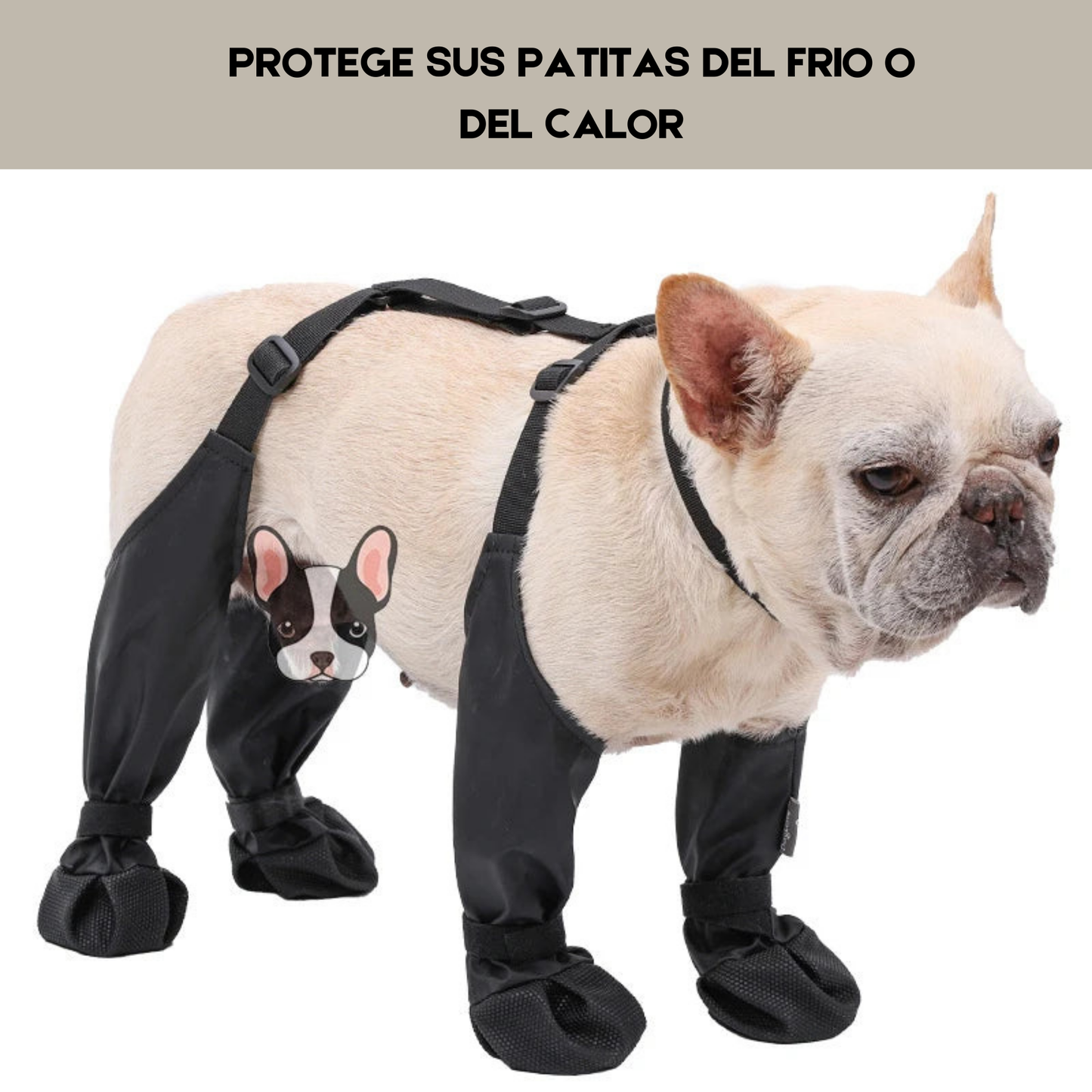 Botas Waterprof ajustables para perros