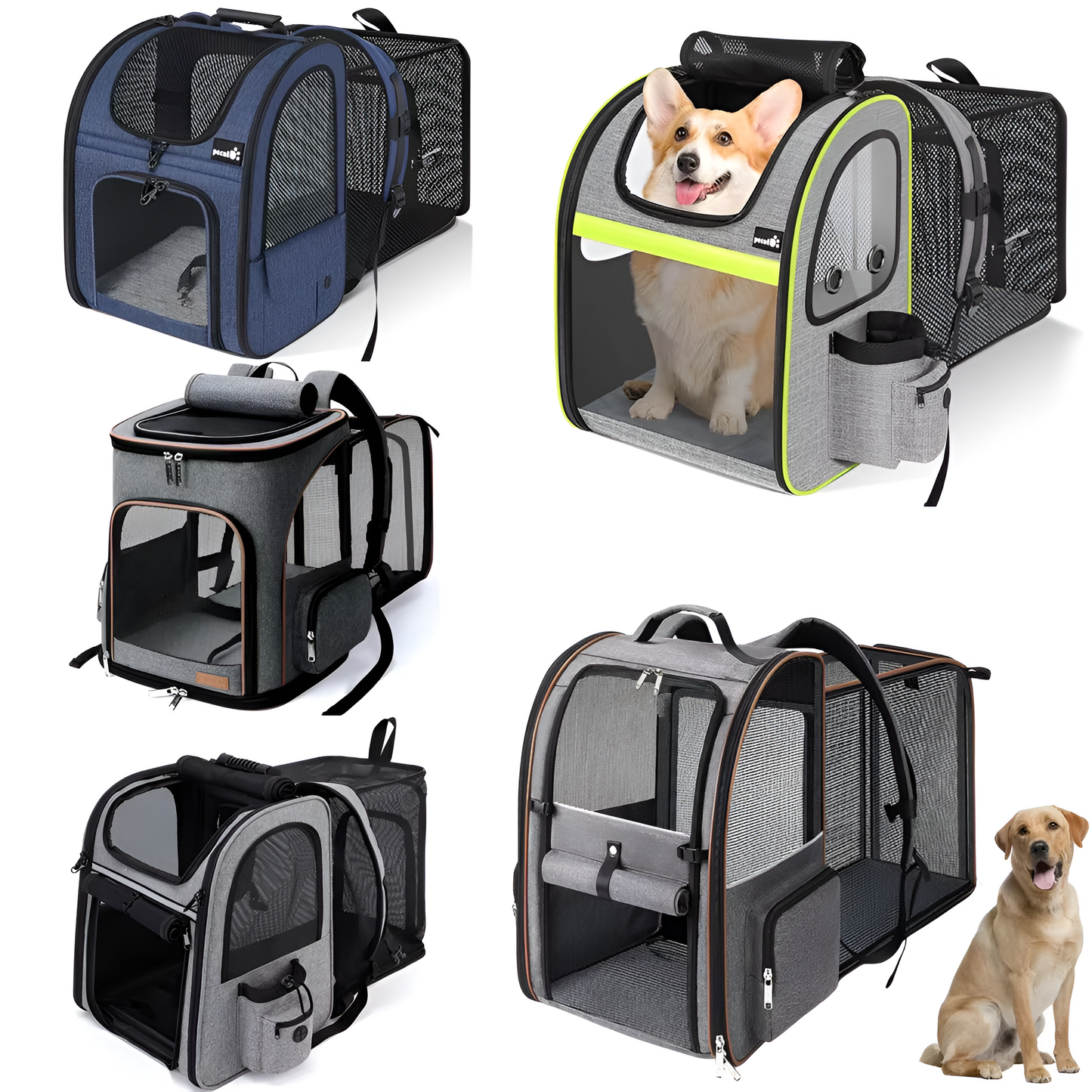 ¡Mejora las aventuras de tus mascotas con nuestra elegante mochila expandible!  ¡Perfecto para gatos y cachorros!